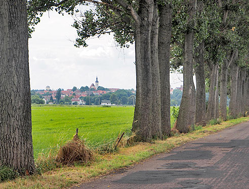 Blick auf Strehla