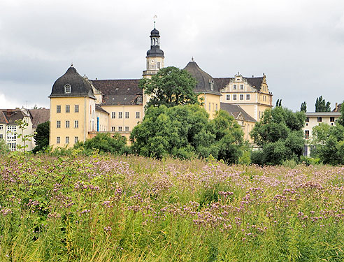 Schloss Coswig