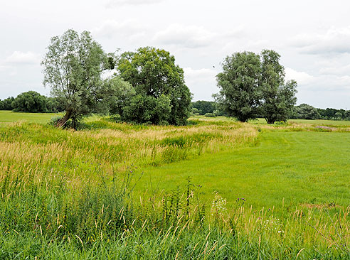 Radweg ist richtig eingepasst