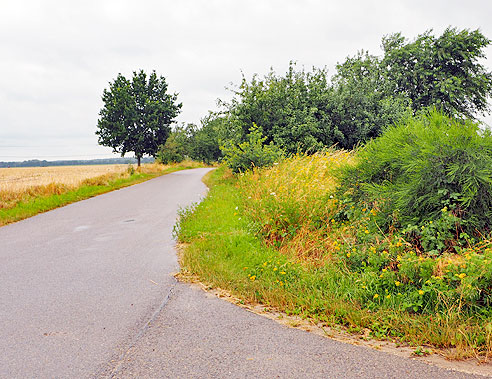 Radweg neben Gleisen