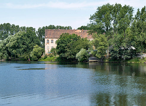 Altarm der Elbe bei Klöden