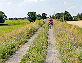 Radweg am Elbdamm