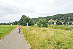 Radweg an der Elbe