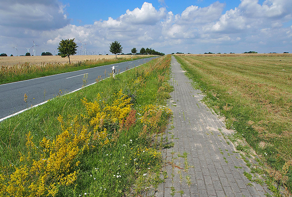 Radweg neben der Straße