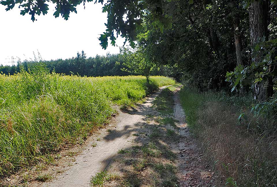 Beschwerlicher Weg bei Tynec