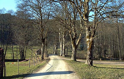 Enzbrücke
