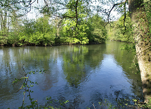 Der alternative Radweg verläuft jetzt auf einem schmalen Pfad, der teilweise über Wurzeln einen kleinen Hang hoch führt. 