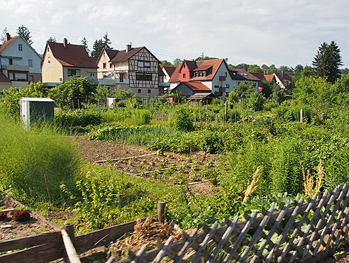 Oberriexingen An Gärten vorbei