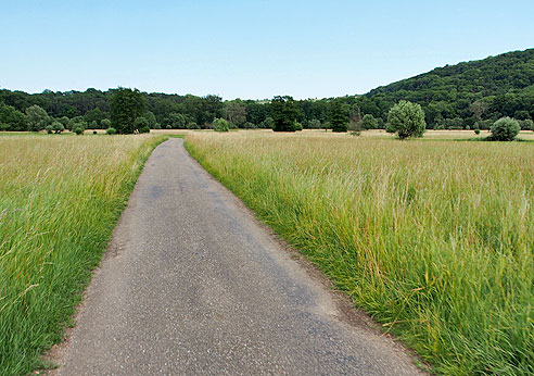 Radweg durch das Enztal