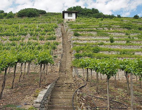 Radweg durch das Enztal