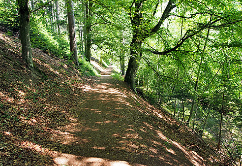 Radweg am Hang