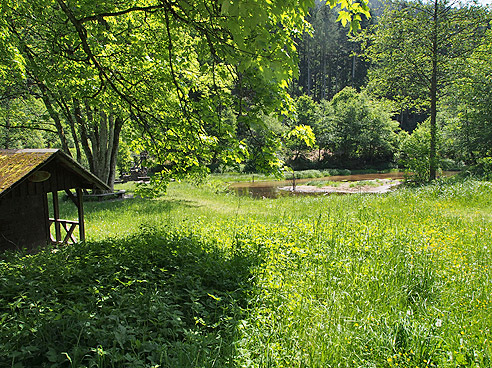 Radweg am Hang