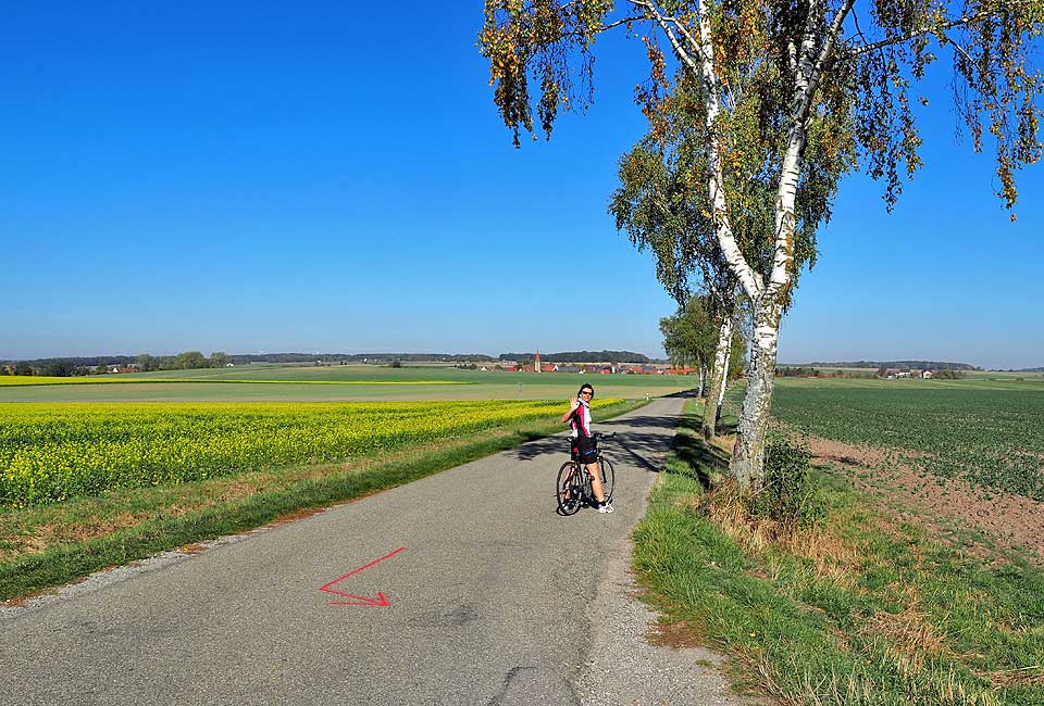 Schöner Radweg nach Insingen