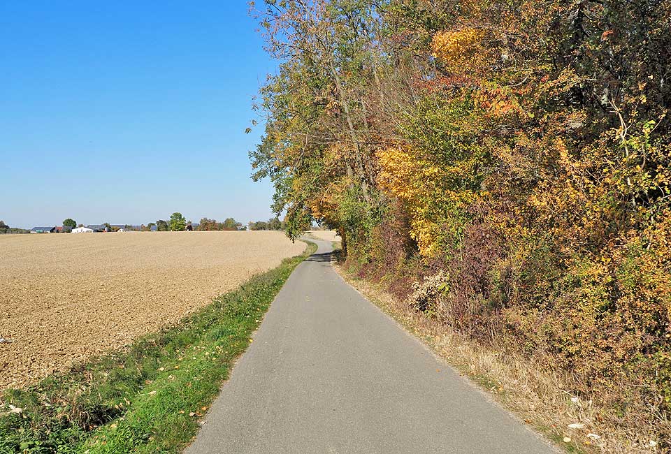Schöner asphaltierter Radweg