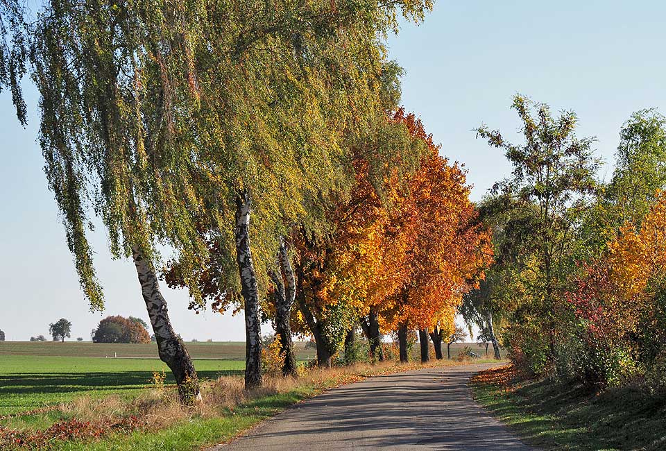 Im Herbst besonders schön