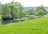 Entlang der Fuldauauen