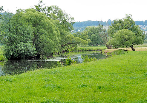 Entlang der Fuldauauen