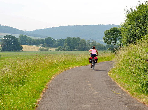 Radweg am Wald