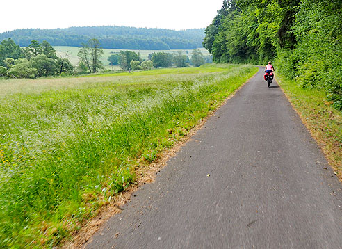 Radweg am Wald