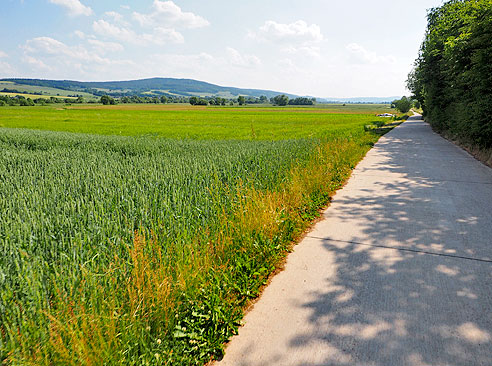 Kirche in Niederaula