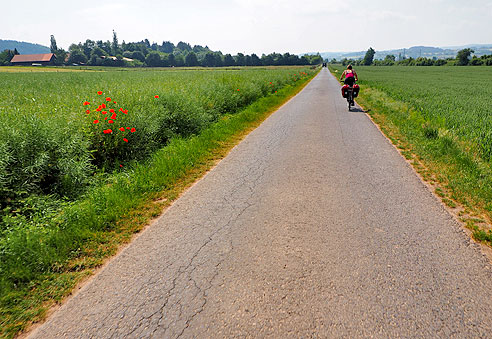 Geradaus zum Kloster Haydnau