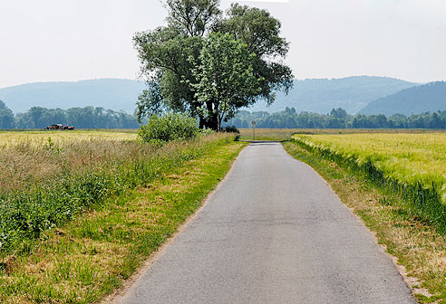 Radweg im Tal