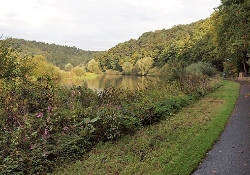Radweg an der Fulda