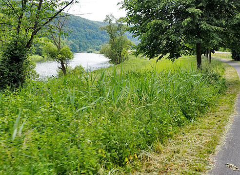Radweg an der Fulda
