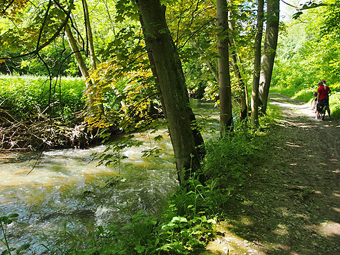 Weinberge im Glemstal