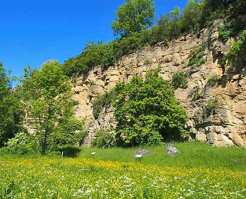 Schroffe Kalksteinwände