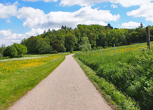 Am Bahnhof Renningen
