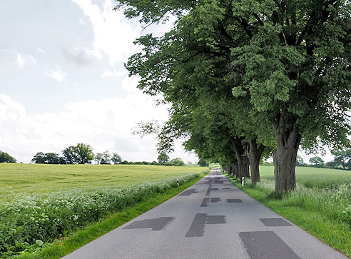 Baumallee nach Friedrichsfelde