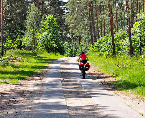 Hügelig durch den Wald