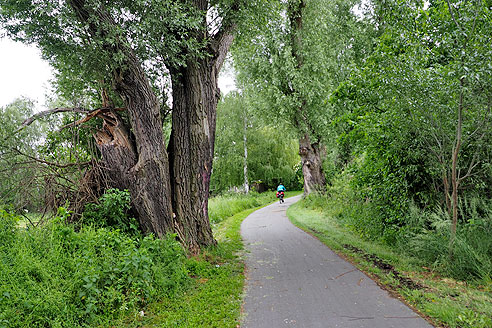 Radweg nach Fohrde