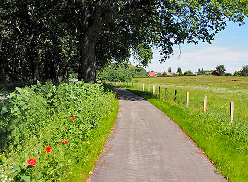 Radweg nach Niederschollene