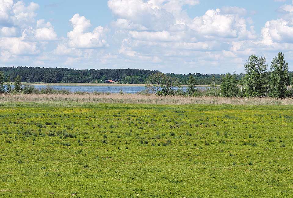 Ausblick Zotzensee