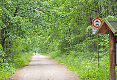 Fahrradstraße durch den Wald