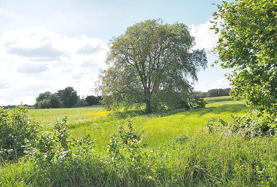 Schöne Landschaft