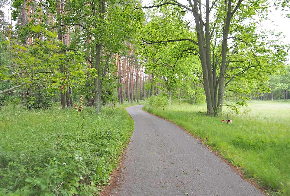 Schöner Waldweg nach Bernöwe