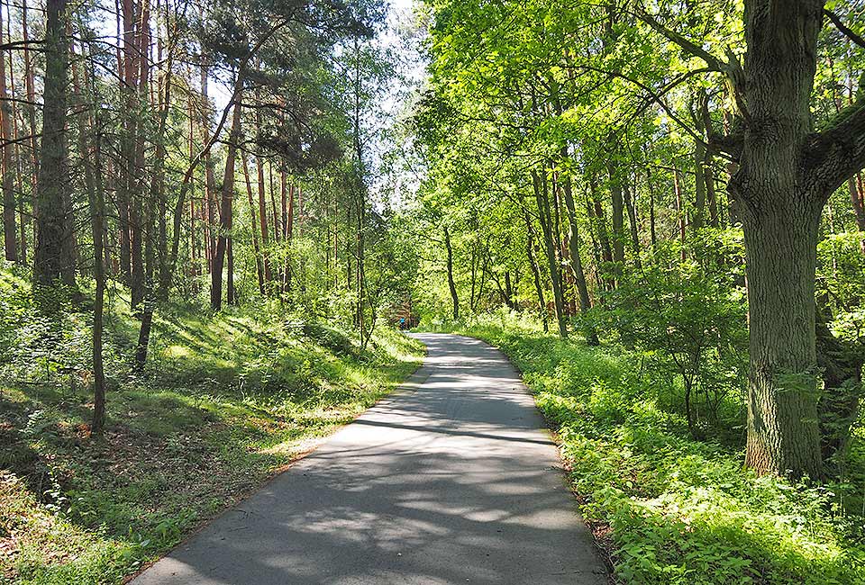 Radweg durch den Wald