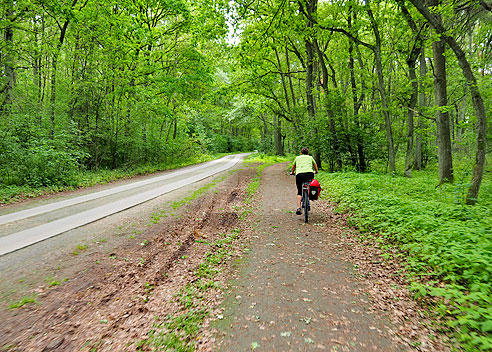 Radweg durch den Wald