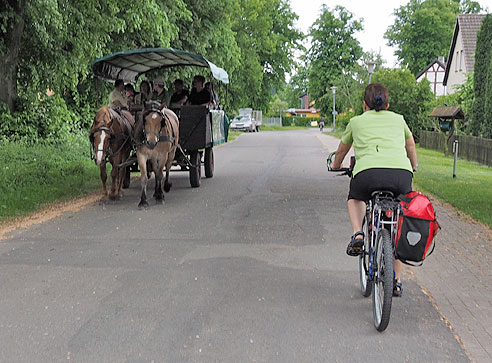 Pferdekutschen in Boek