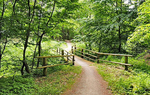 Idyllische Holzbrücke