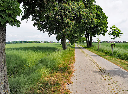 Radweg auf der Straße