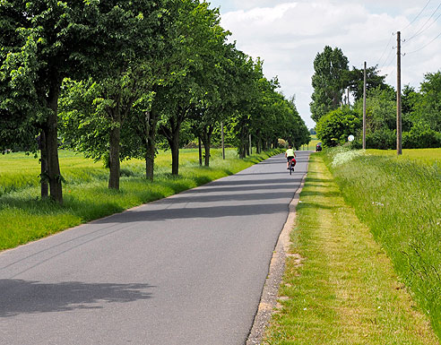 Radweg auf der Straße