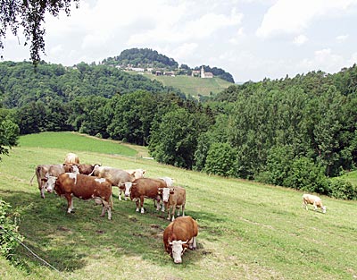 Berg am Ichel: Brunnen
