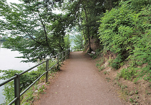 Radweg am Rhein