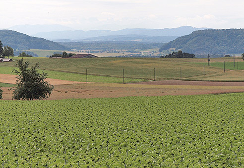 Ausblick auf das Rheintal