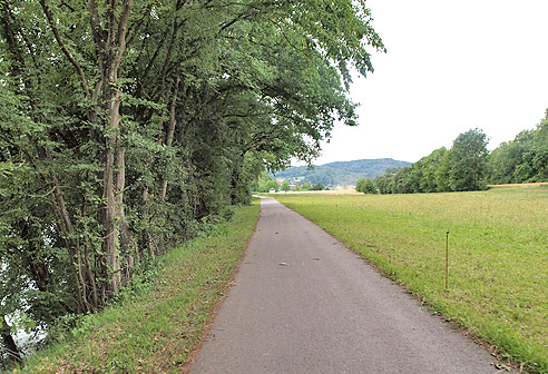 Direkt neben dem Rhein