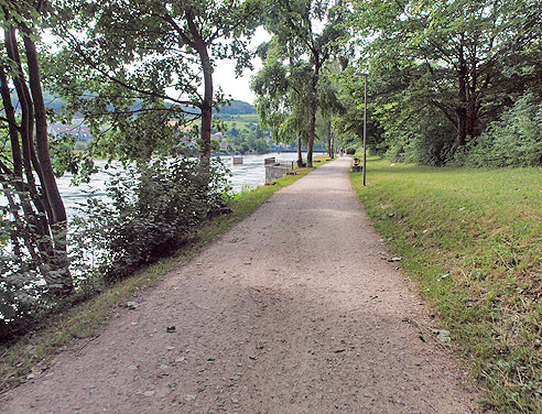 Radweg am Rhein bei Schaffhausen